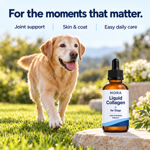 Nora Liquid Collagen for Dogs & Cats