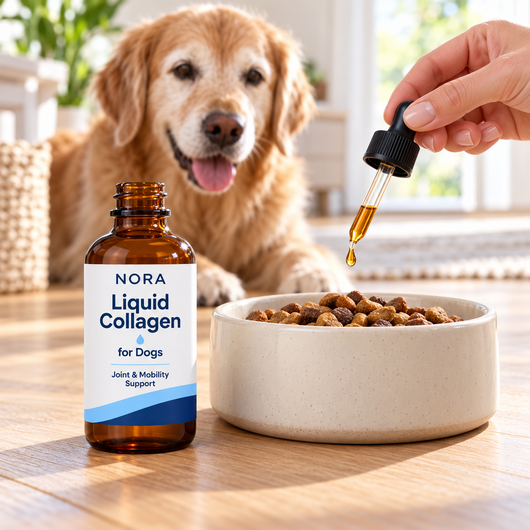 Add NORA liquid collagen to your dog's food